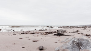 brandon bay