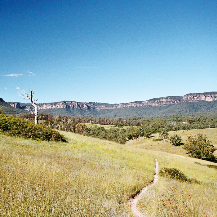 megalong valley